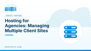 Hosting for Agencies – Hosting for Agencies: Managing Multiple Client Sites
